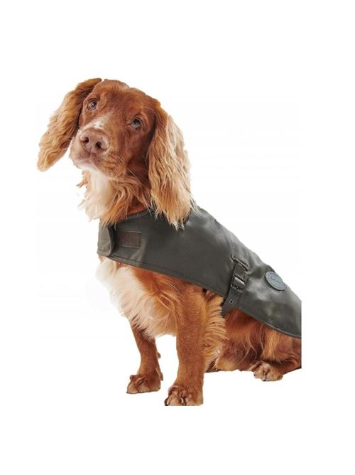 wax dog coat BARBOUR | DC00003.OL71