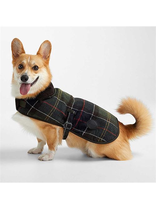 Dog coat BARBOUR | 232-DCO0010.TN11