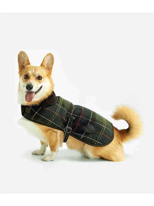 cappotto per cani BARBOUR | 232-DCO0010.TN11